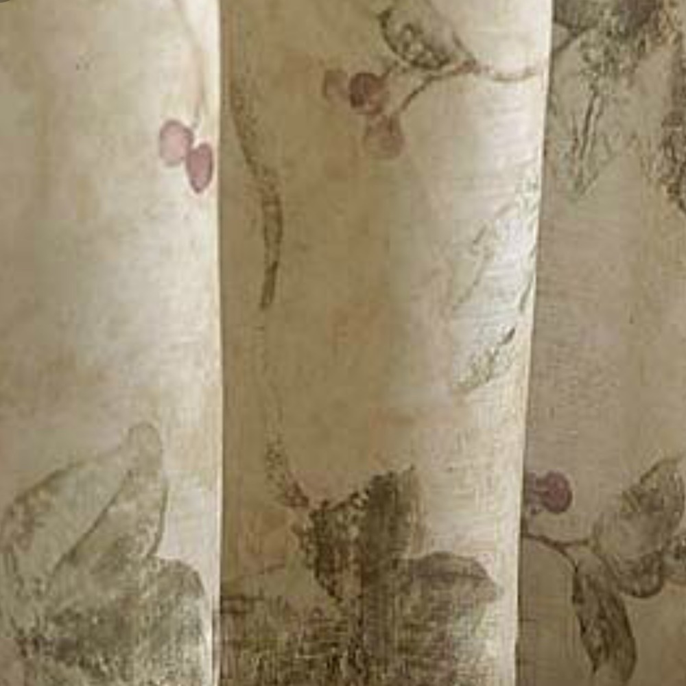 Croscill Ivy by Cheri Blum Shower Curtain & Hooks